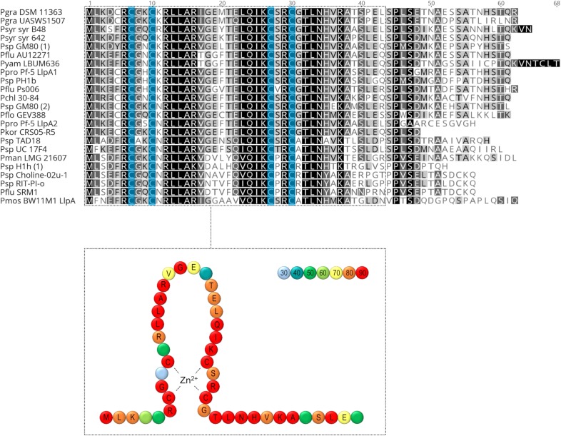 FIGURE 4