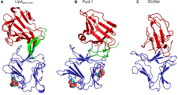 FIGURE 1