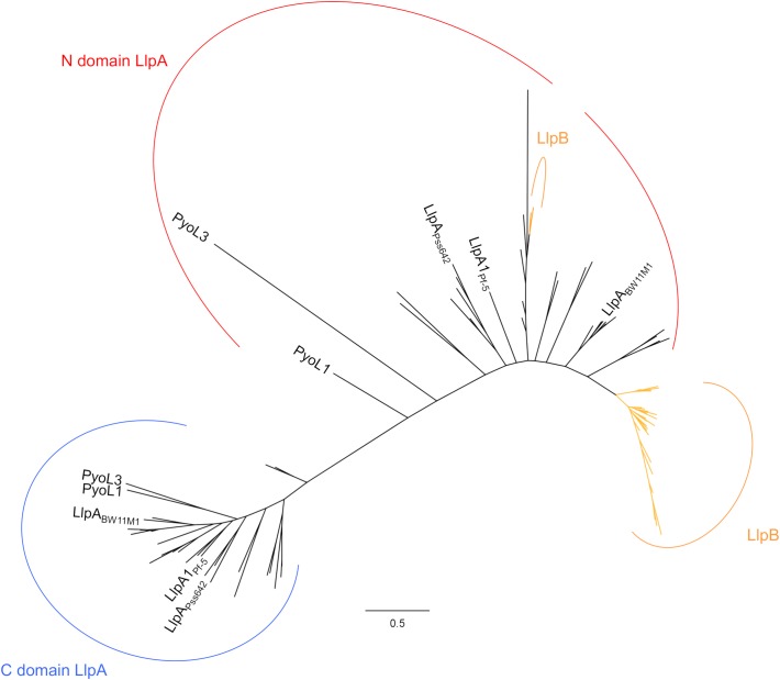 FIGURE 2