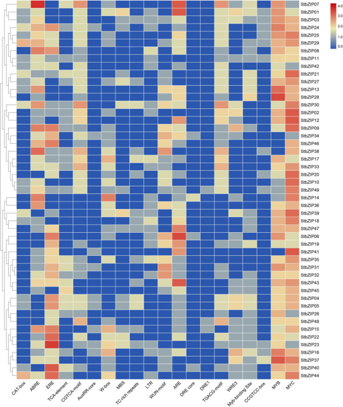 FIGURE 5