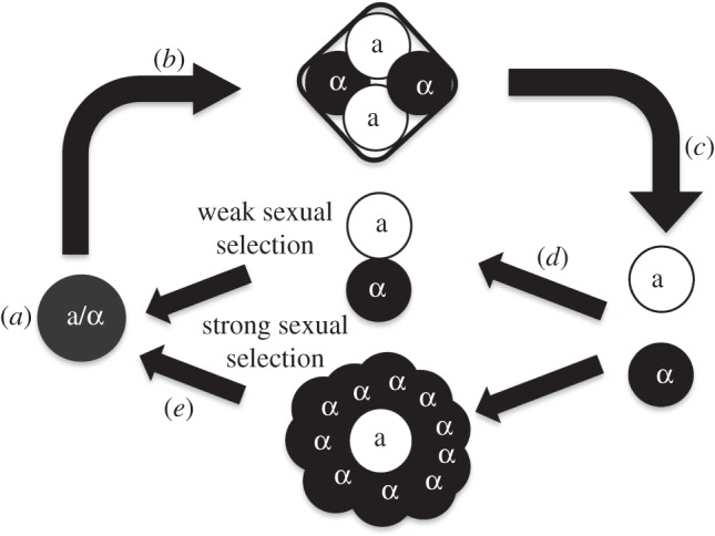 Figure 1.