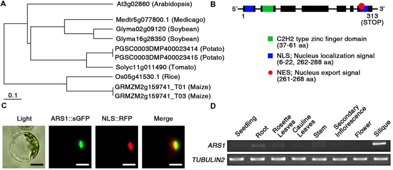 FIGURE 2