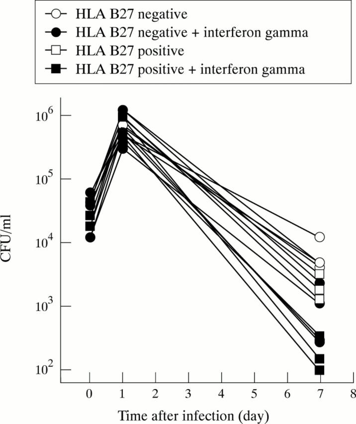 Figure 4  