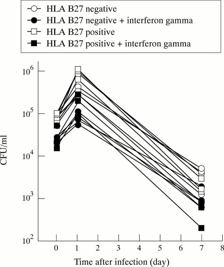 Figure 5  