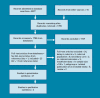Appendix 1