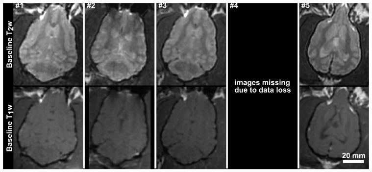 Fig 3