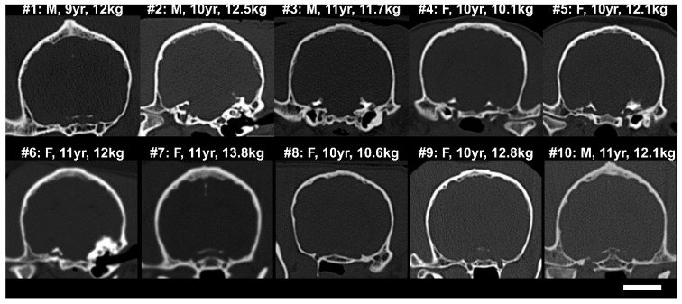 Fig 2