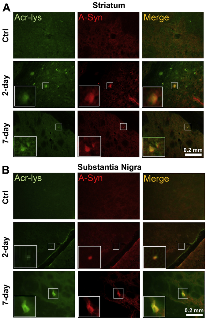 Figure 11.