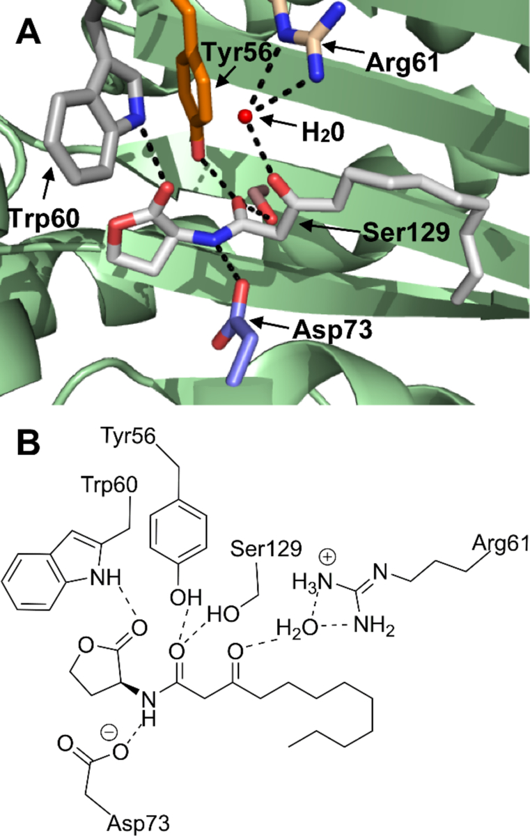 Figure 2: