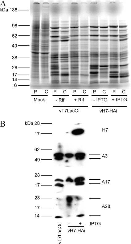 FIG. 6.