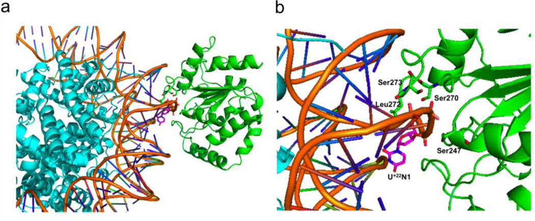 Figure 7