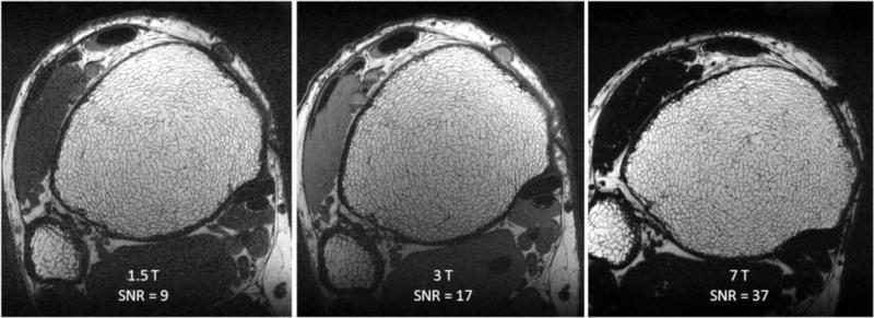 FIG. 7