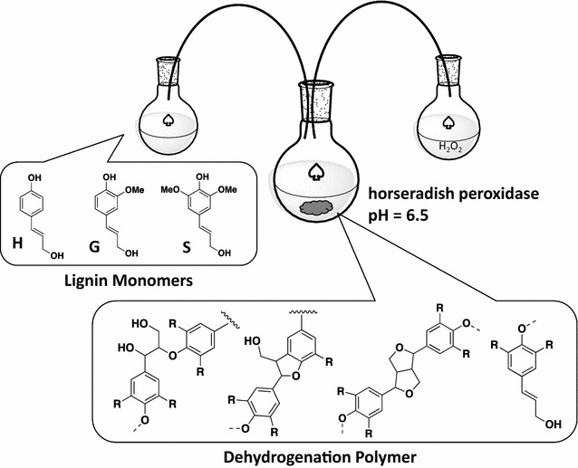 Fig. 1