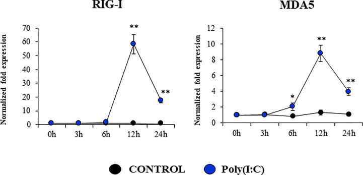 Figure 6