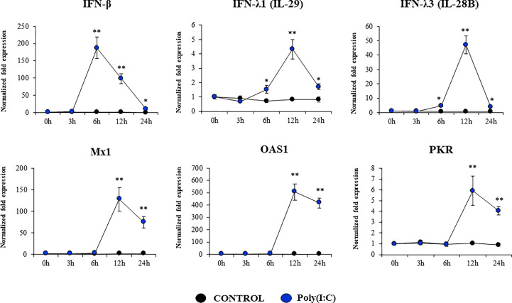 Figure 5