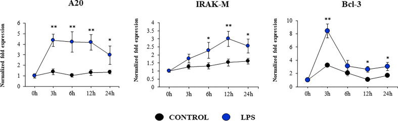 Figure 10