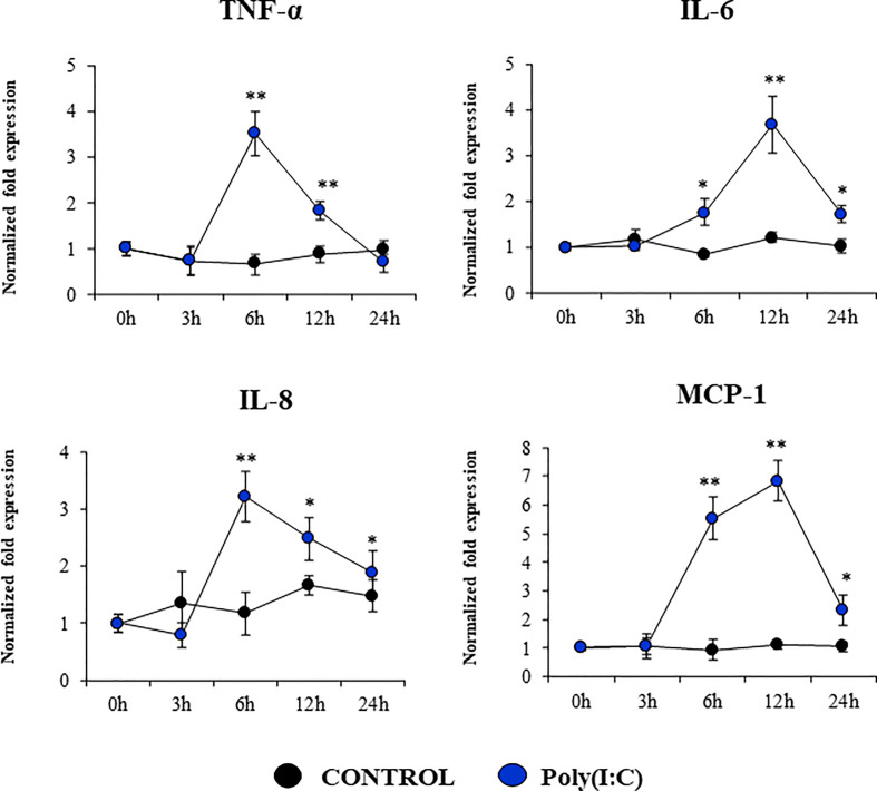 Figure 7