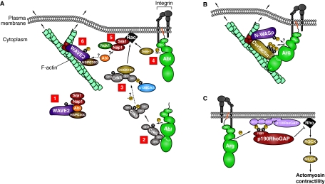 Fig. 3.