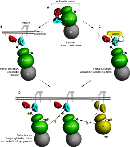 Fig. 2.