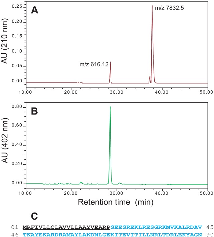 FIGURE 2.