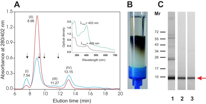 FIGURE 1.