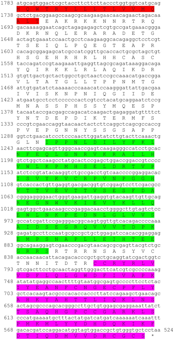 Figure 13