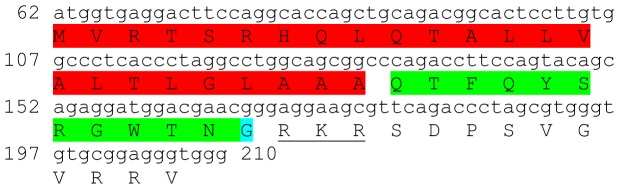 Figure 5