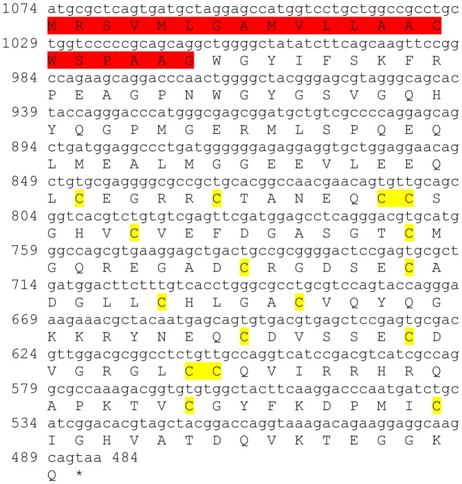 Figure 19