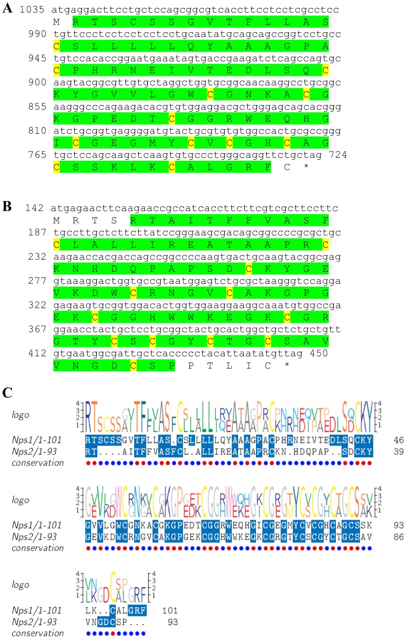 Figure 16