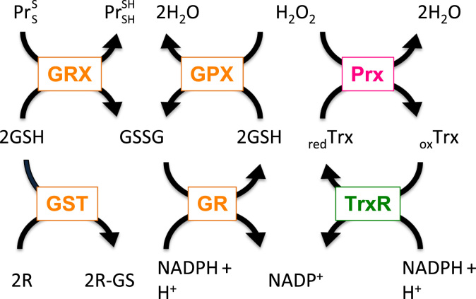 Fig. 2