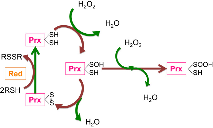 Fig. 3