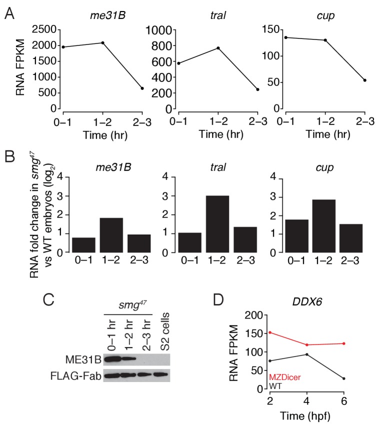 Figure 5—figure supplement 1.