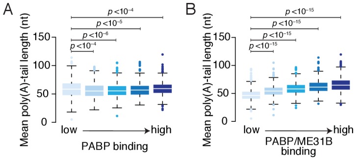 Figure 3—figure supplement 1.