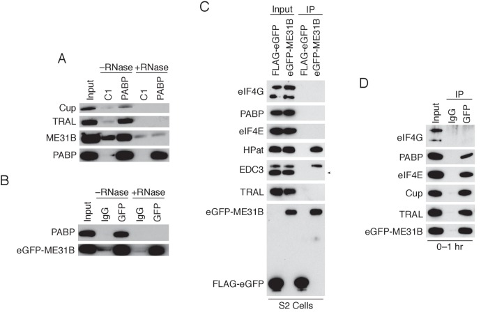 Figure 1—figure supplement 1.