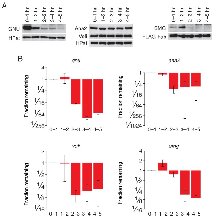 Figure 7—figure supplement 1.