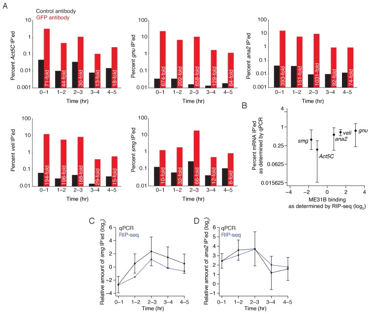 Figure 6—figure supplement 1.