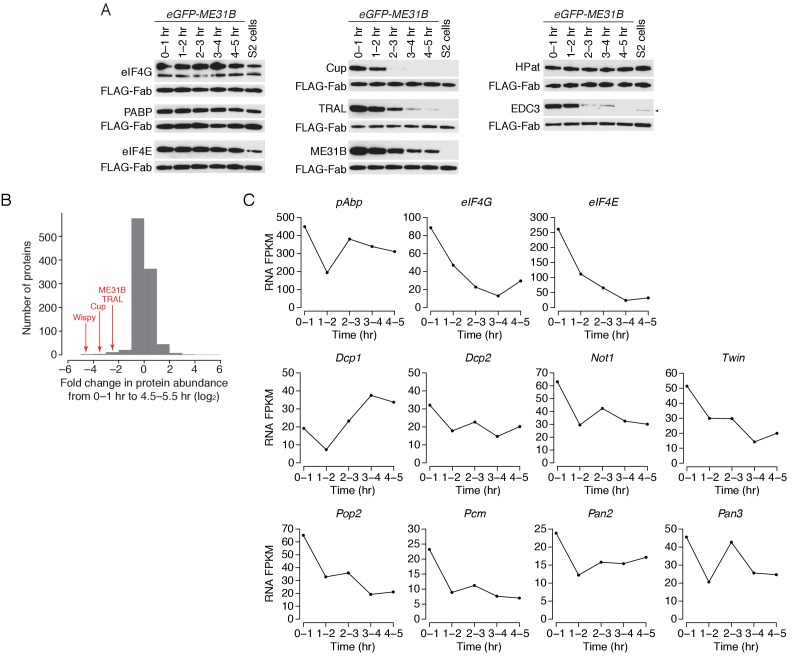 Figure 4—figure supplement 1.