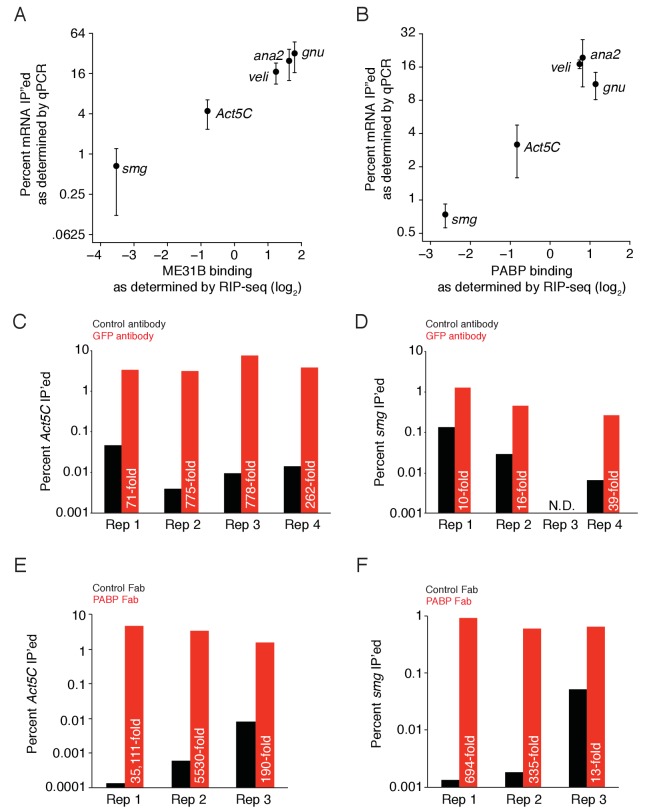 Figure 2—figure supplement 2.