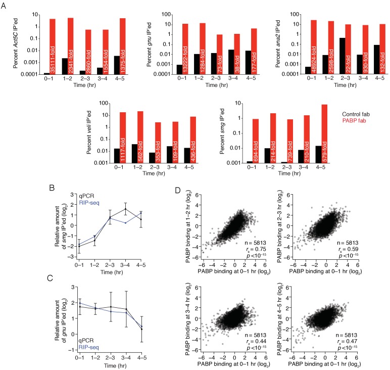 Figure 6—figure supplement 2.