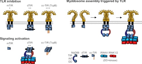 FIGURE 7.