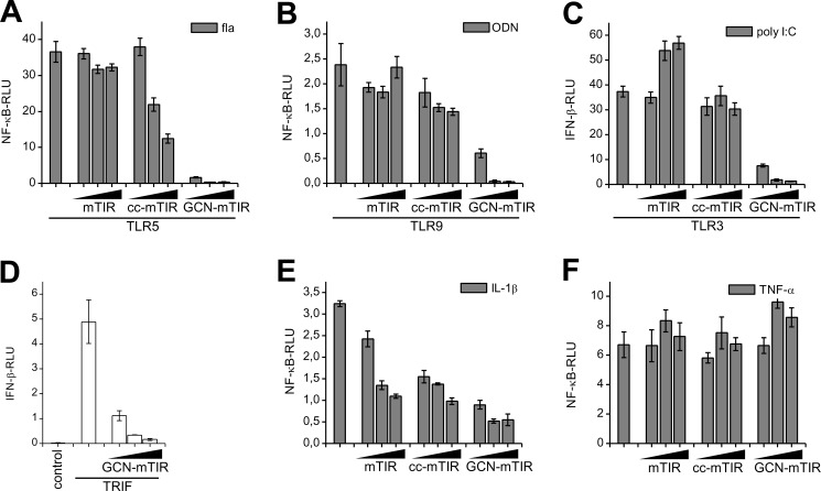 FIGURE 5.