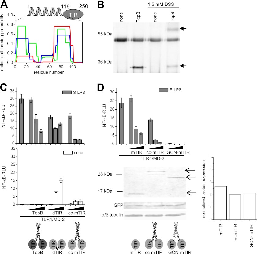 FIGURE 4.