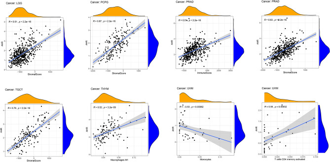 Figure 5