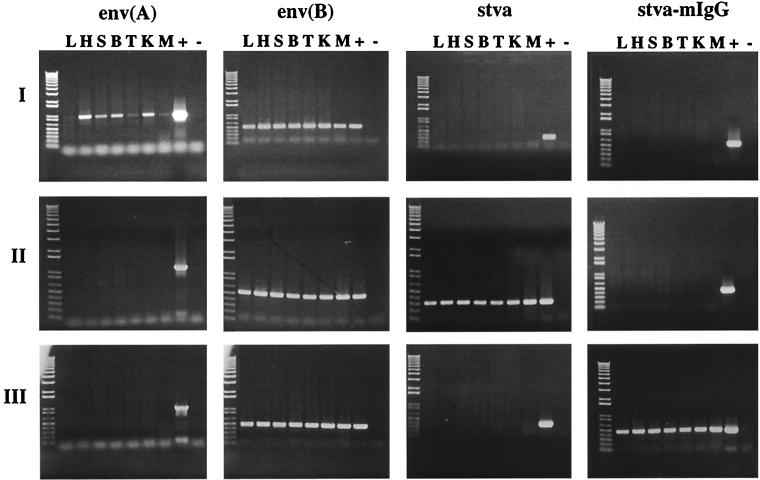 FIG. 7