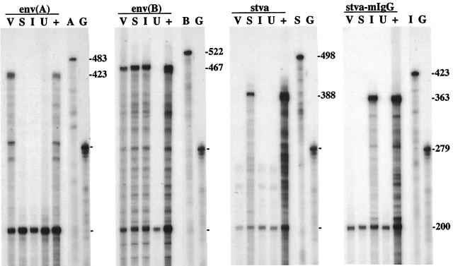 FIG. 6