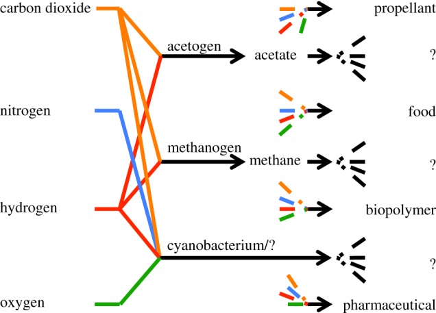 Figure 3.