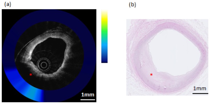 Fig. 7