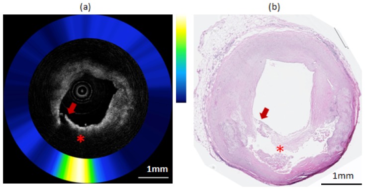 Fig. 8