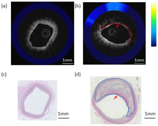 Fig. 6