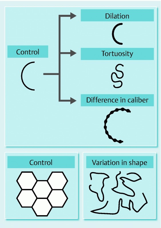 Fig. 2